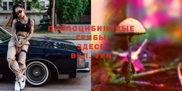 мет Ладушкин