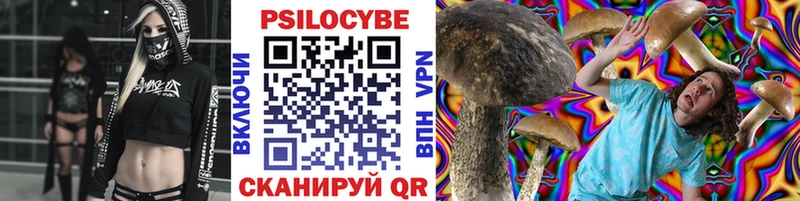 Псилоцибиновые грибы прущие грибы  Купить закладки  Приволжский 